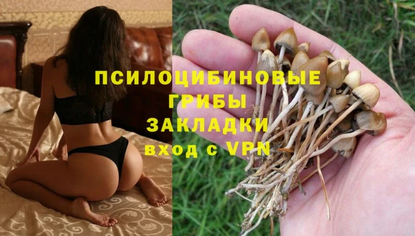 крисы Арсеньев
