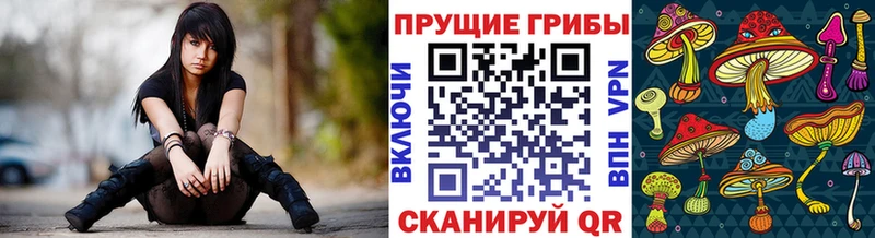 цены   МЕГА ссылка  Галлюциногенные грибы Psilocybe  Белово 